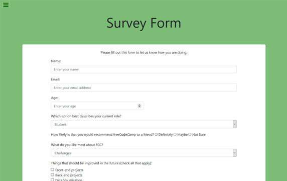 screenshot of the survey page